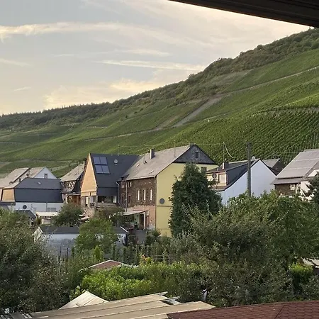 Uitzicht Op De Wijngaard *